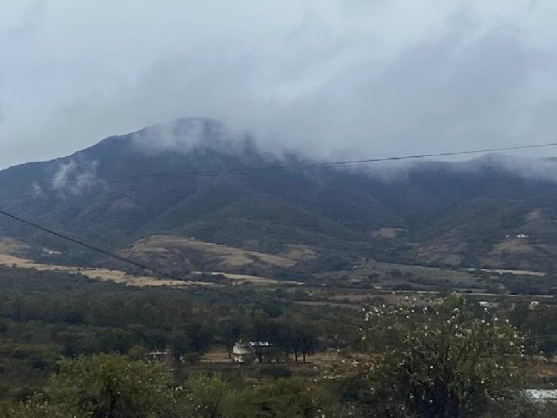 Clima en Guanajuato: Heladas azotan el norte y dejan una víctima por intoxicación