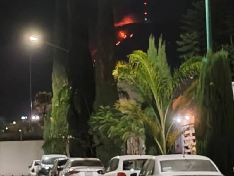 Incendio en el Cerro del Gigante alarma a vecinos de Los Naranjos