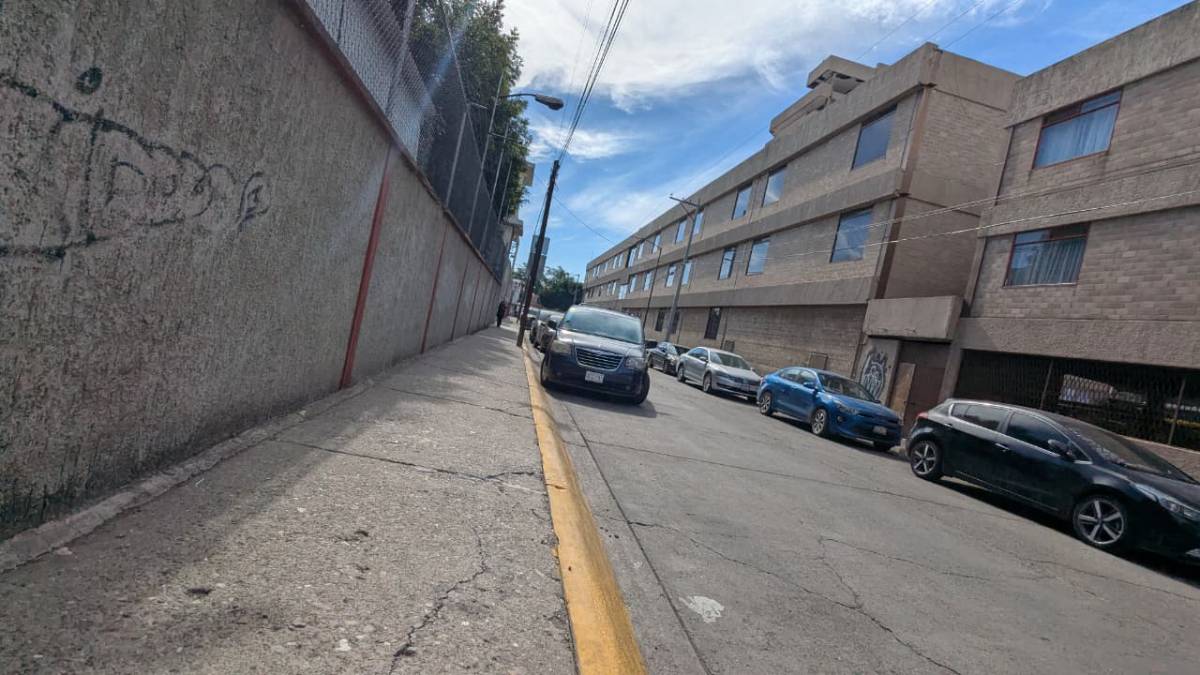 colonias-irapuato-jardines