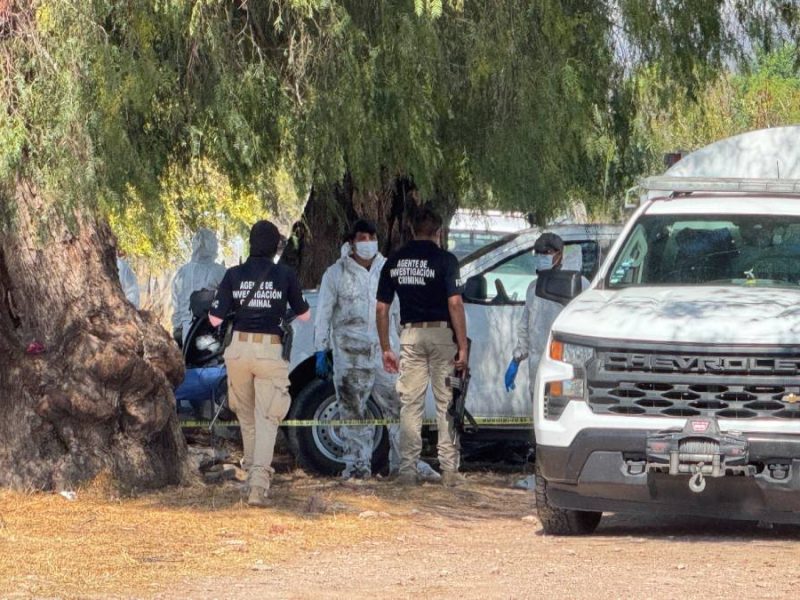Guanajuato registra 222 homicidios en enero; masacres y fosas marcan inicio de 2026