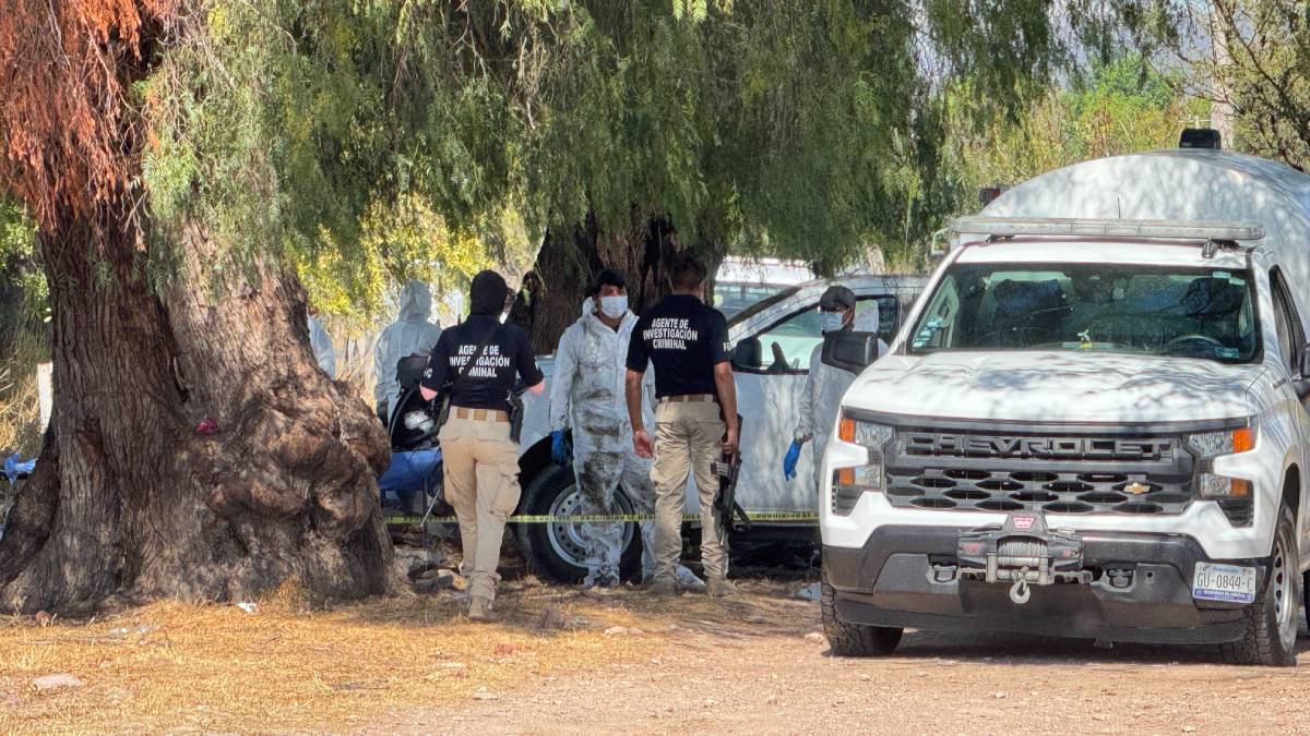 fosa-homicidios-enero