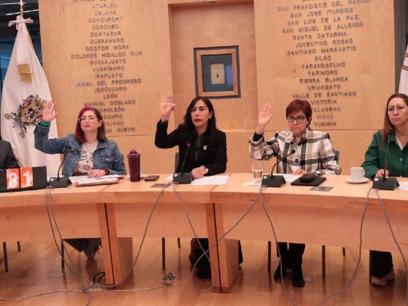 PAN batea otra iniciativa sobre el aborto en Guanajuato; Arzobispo de León pide ‘alzar la voz’