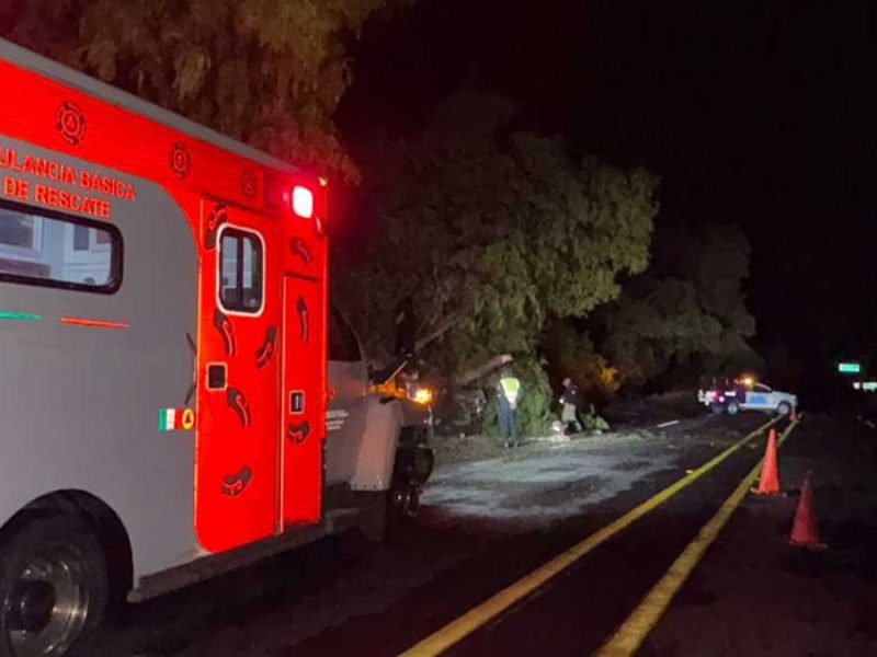 Golpean a hombre hasta la muerte y abandonan su cuerpo en Jaral del Progreso