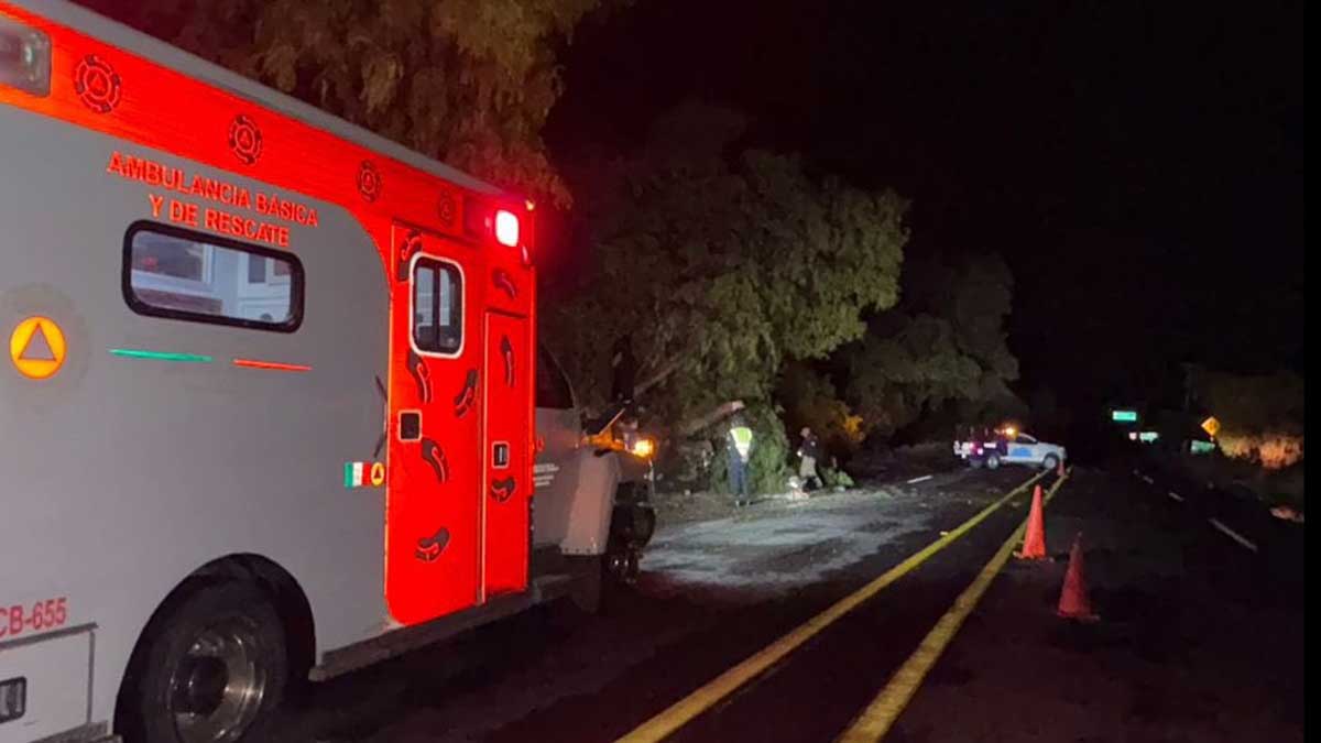 hombre muerto en Jaral del Progreso