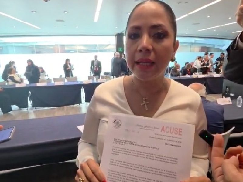 Acusa senadora “fuego amigo” tras escándalo por estética