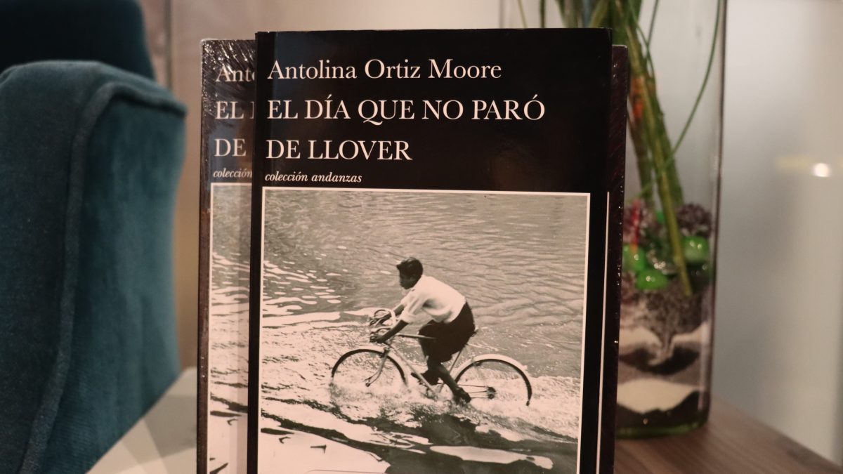 libro El día que no dejó de llover