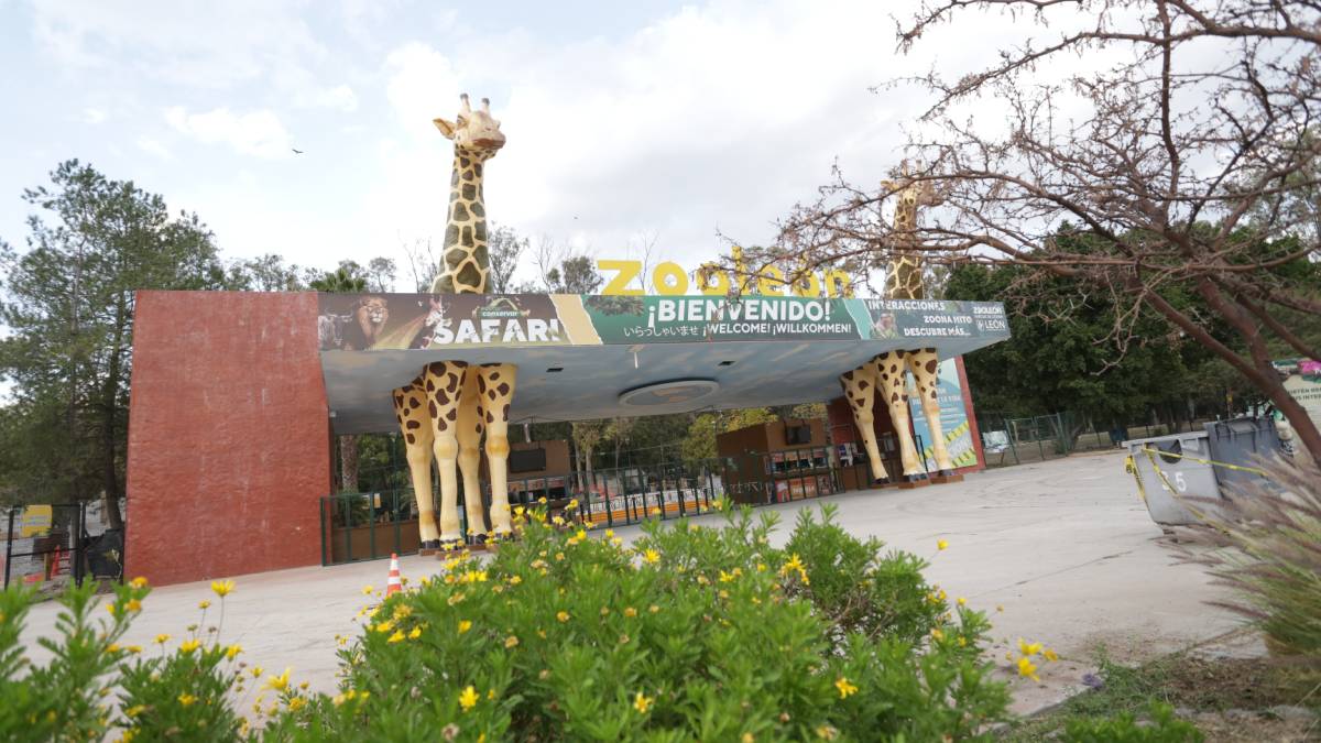 zoologico-de-leon