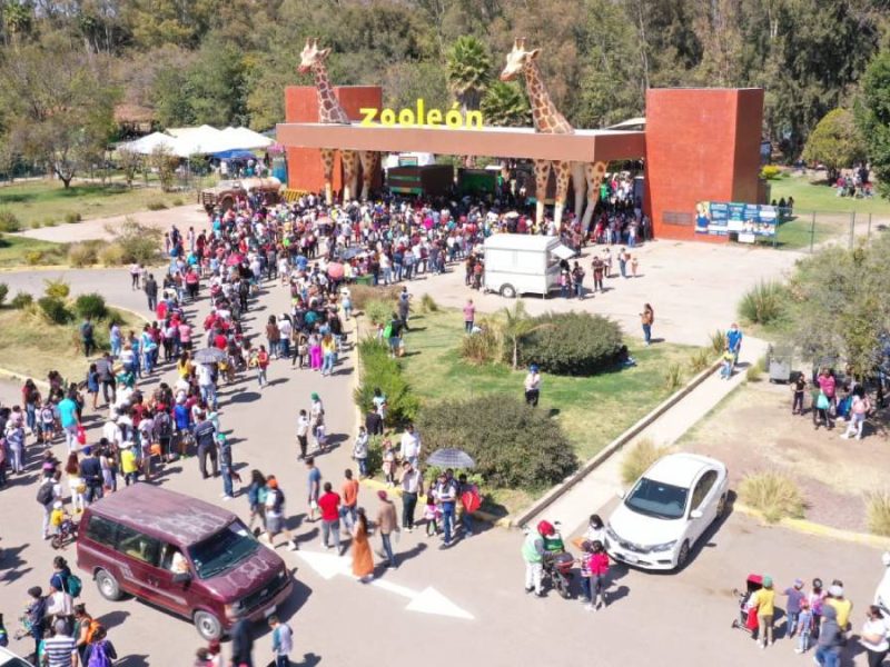 Exigen definir el futuro del Zoológico León antes de nombrar director