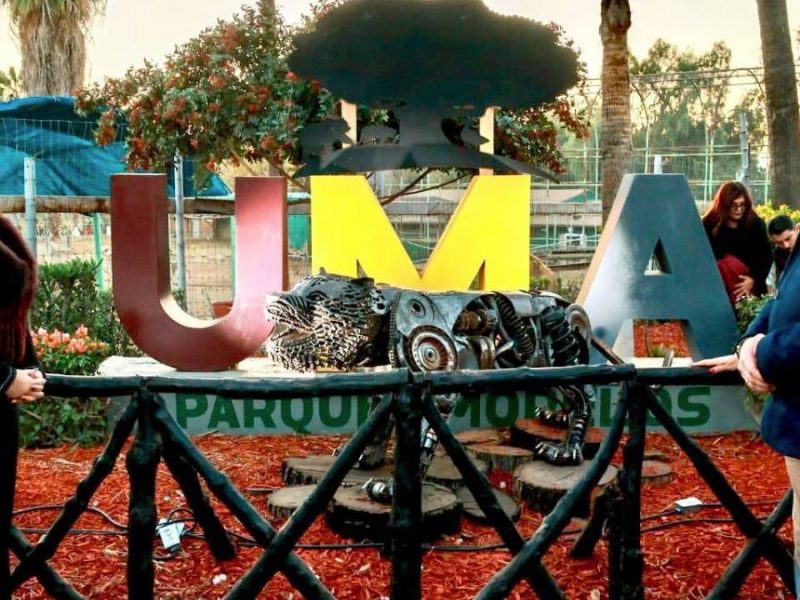 Entregan pruebas contra el director del Zoológico de León: Denuncian robo y maltrato en Tijuana