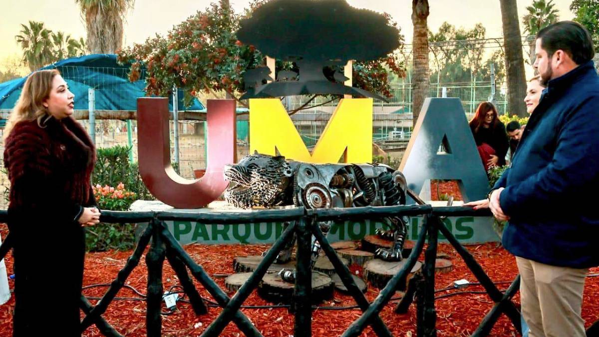 zoologico-leon-denuncias