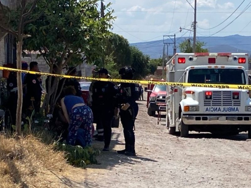 Mujer muere tras ataque de abejas en Pénjamo; tenía un mes reportando panal