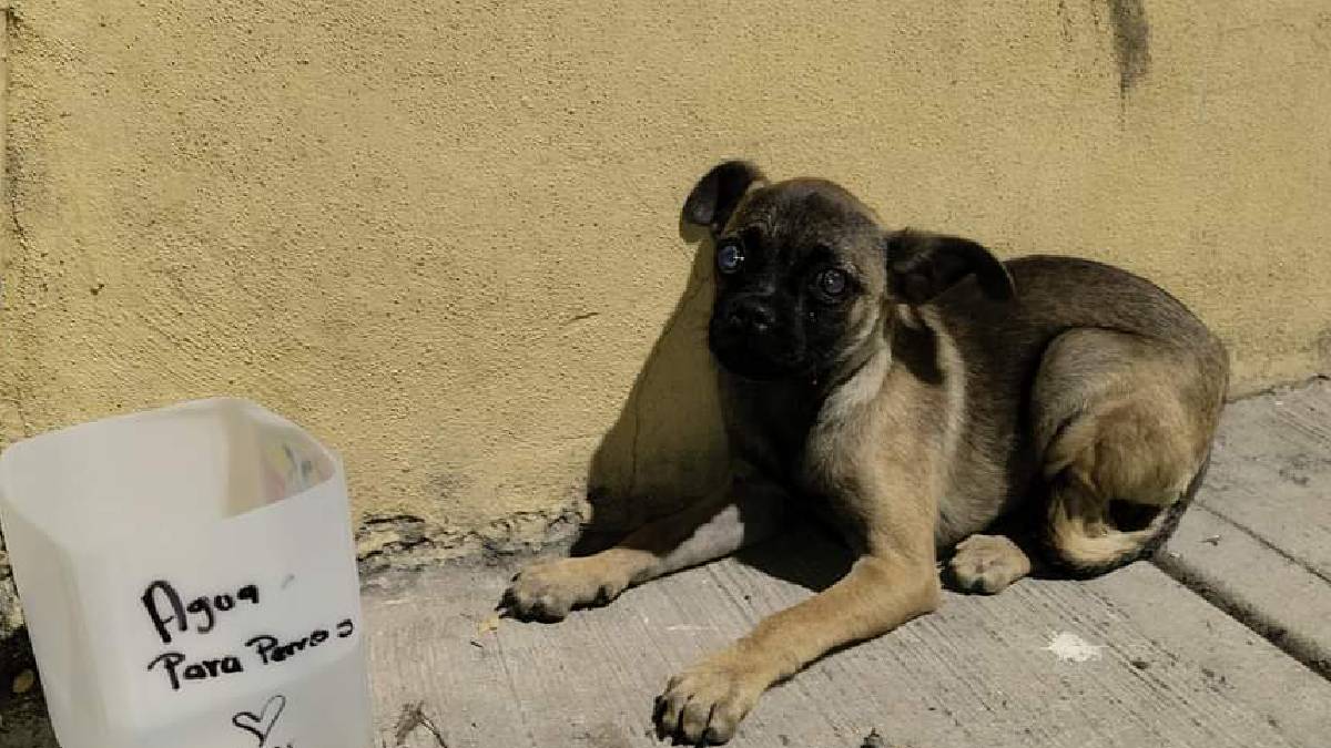 Altas temperaturas en pueblos del Rincón 01