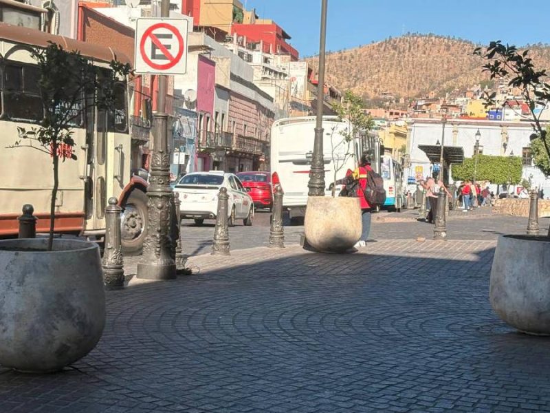 Gobierno de Samantha Smith busca refrescar Guanajuato con árboles frutales