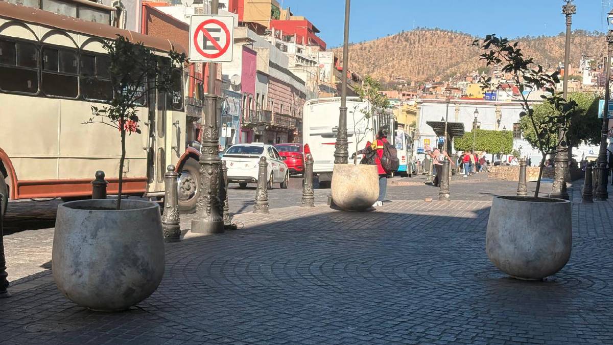Árboles frutales Guanajuato capital