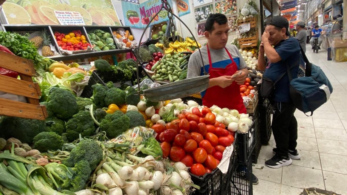 Canasta básica León 02