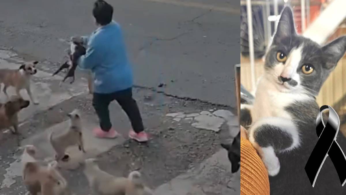 Caso Gerónimo Yebra