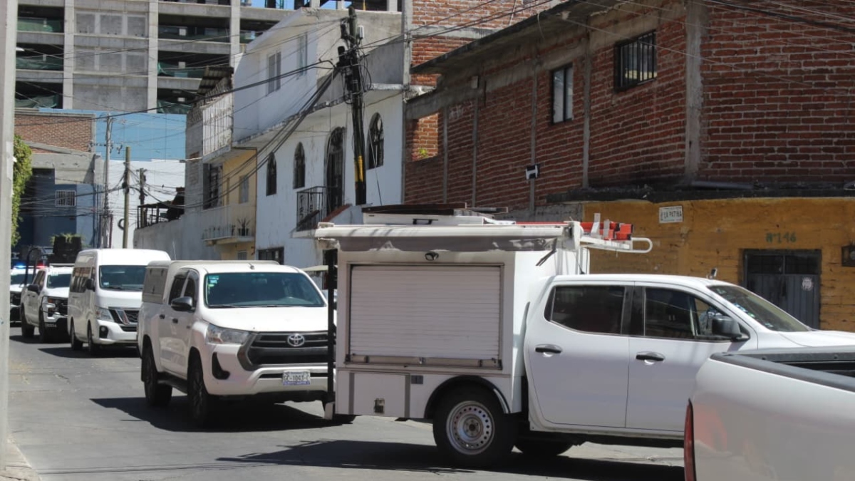 Cateo en Futurama Monterrey