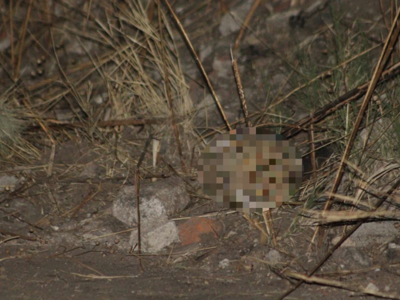 En San Juan, vecinos hallaron un cráneo humano entre terrenos de siembra en León