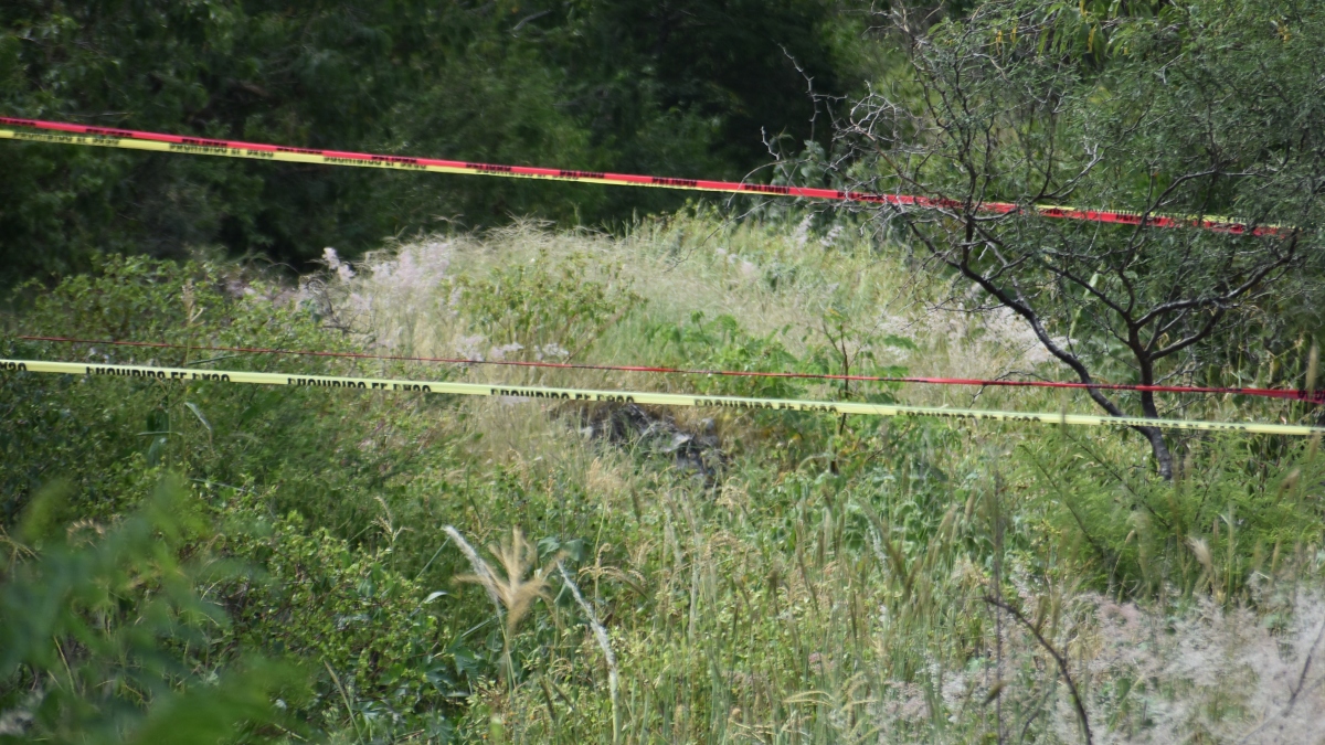 Cuerpo de joven brutalmente golpeado