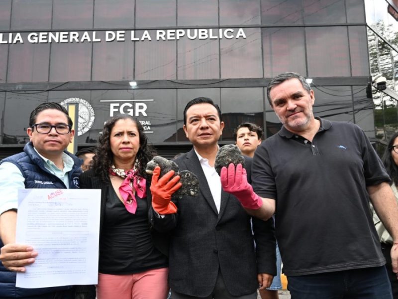 PAN pone denuncia penal por derrame en el Golfo; “Sheinbaum no quiere investigar”, acusan