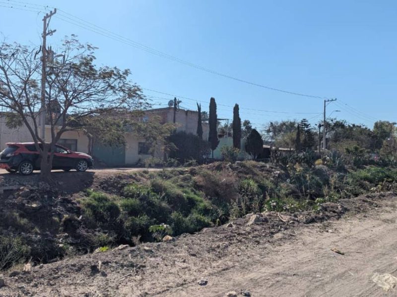Detectan 53 zonas críticas por incendios en Irapuato