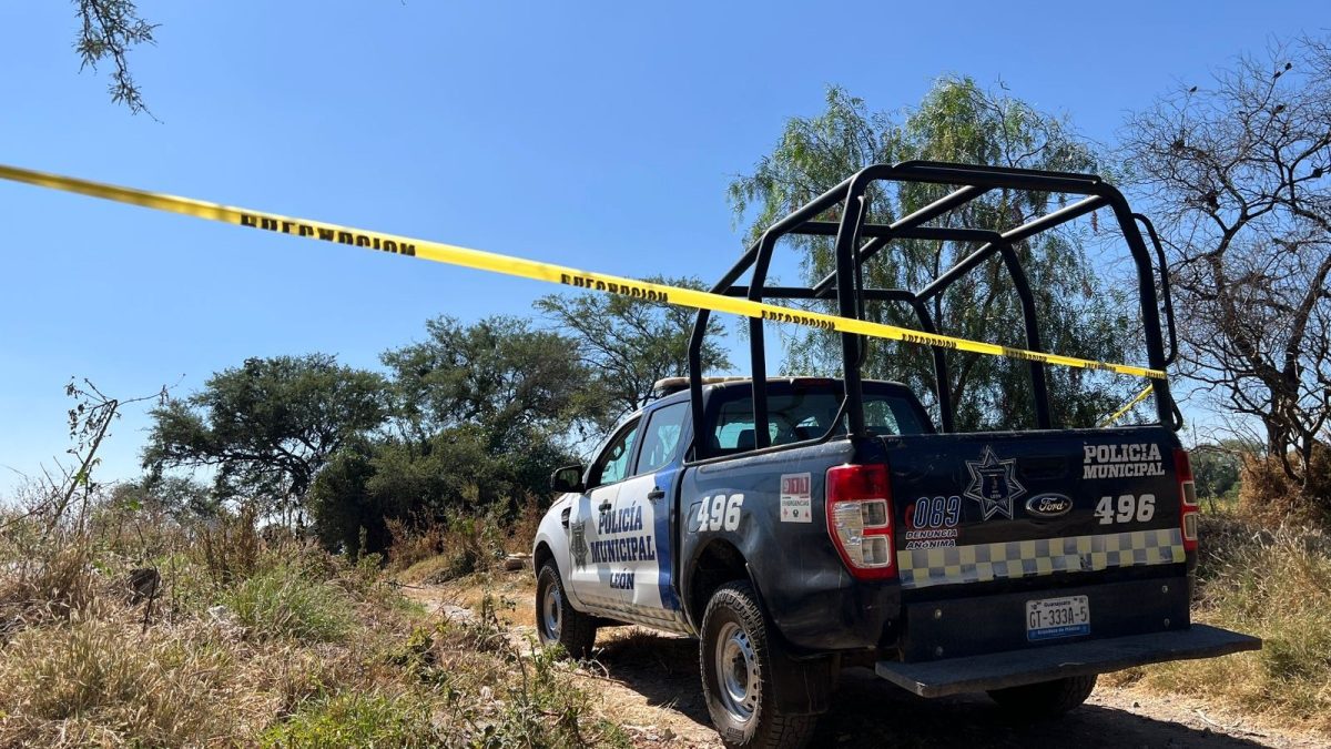 La Luz y Eje Metropolitano 01