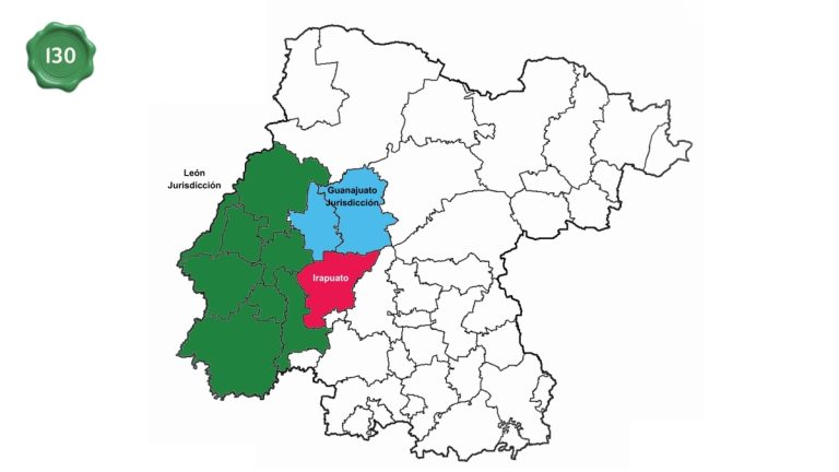 León intentó gobernar Irapuato