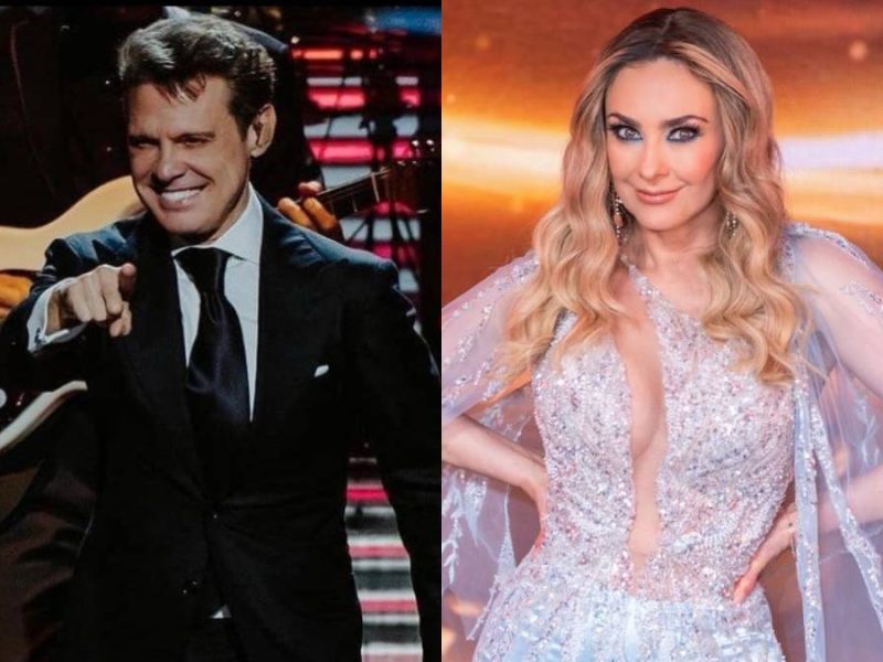 Hijos de Luis Miguel y Aracely Arámbula aparecen en público por primera vez en años