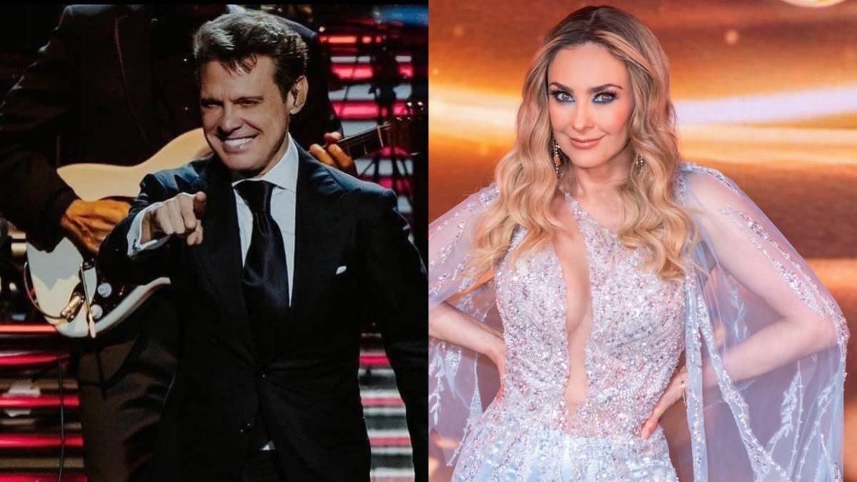 Luis Miguel y Aracely Arámbula hijos reaparecen en público