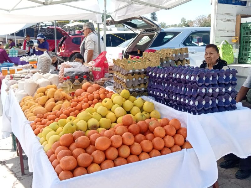 Mercado Artesanal y Agropecuario en Celaya: Piden que se quede cada semana en Parque Fundadores
