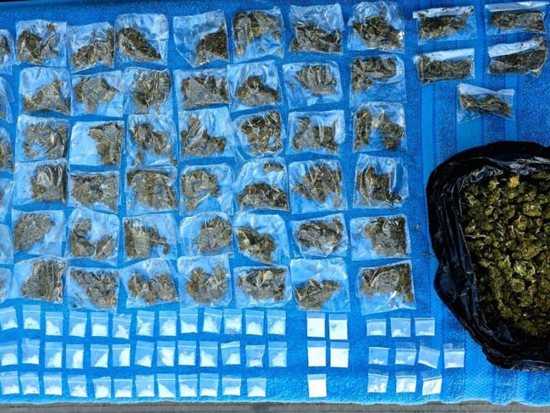 Baja narcomenudeo en León: Caen 80 % carpetas de investigación al inicio de 2026