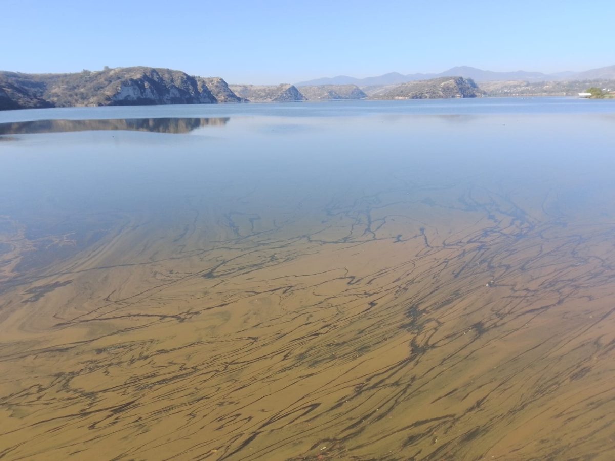 Mantienen almacenamiento: presas de Hidalgo a 94.7% de capacidad