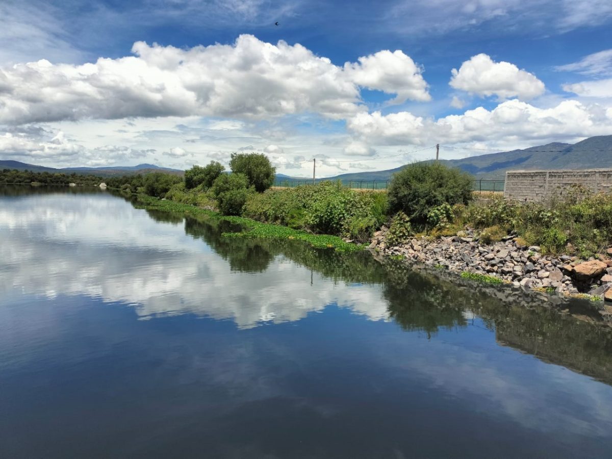 Hidalgo, sin sequía en sus 84 municipios: Conagua