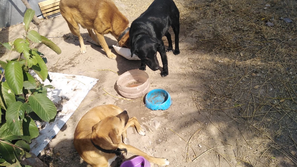 San Francisco del Rincón