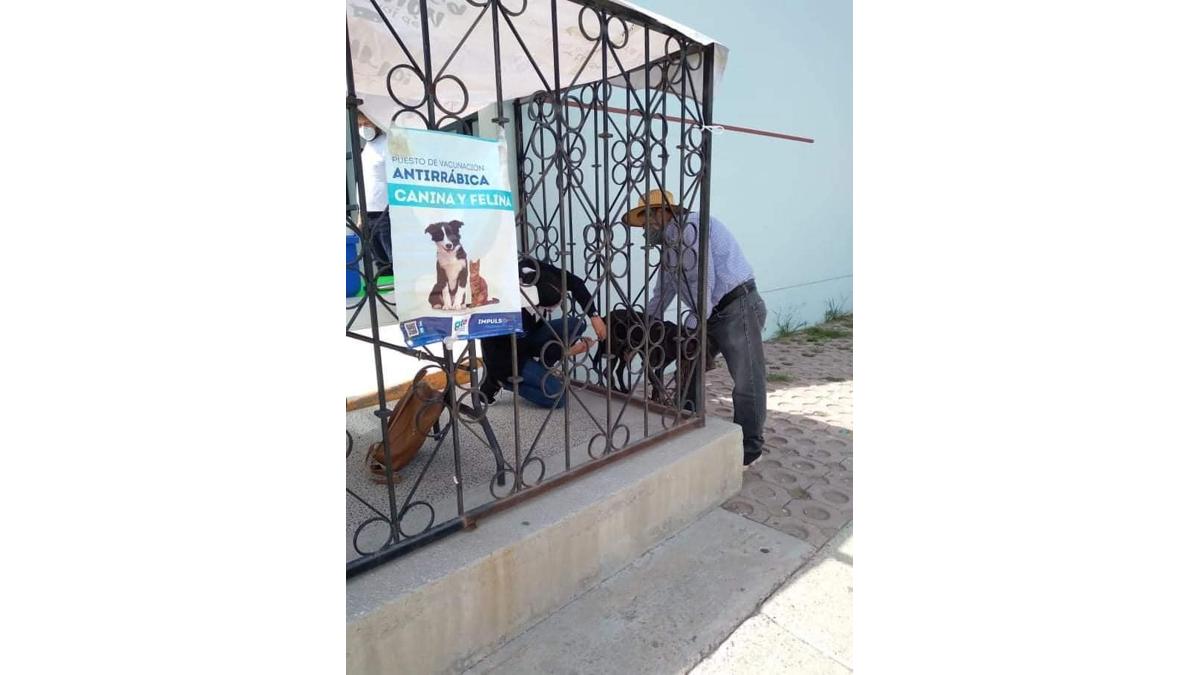 Semana Nacional de Vacunación Antirrábica 2026