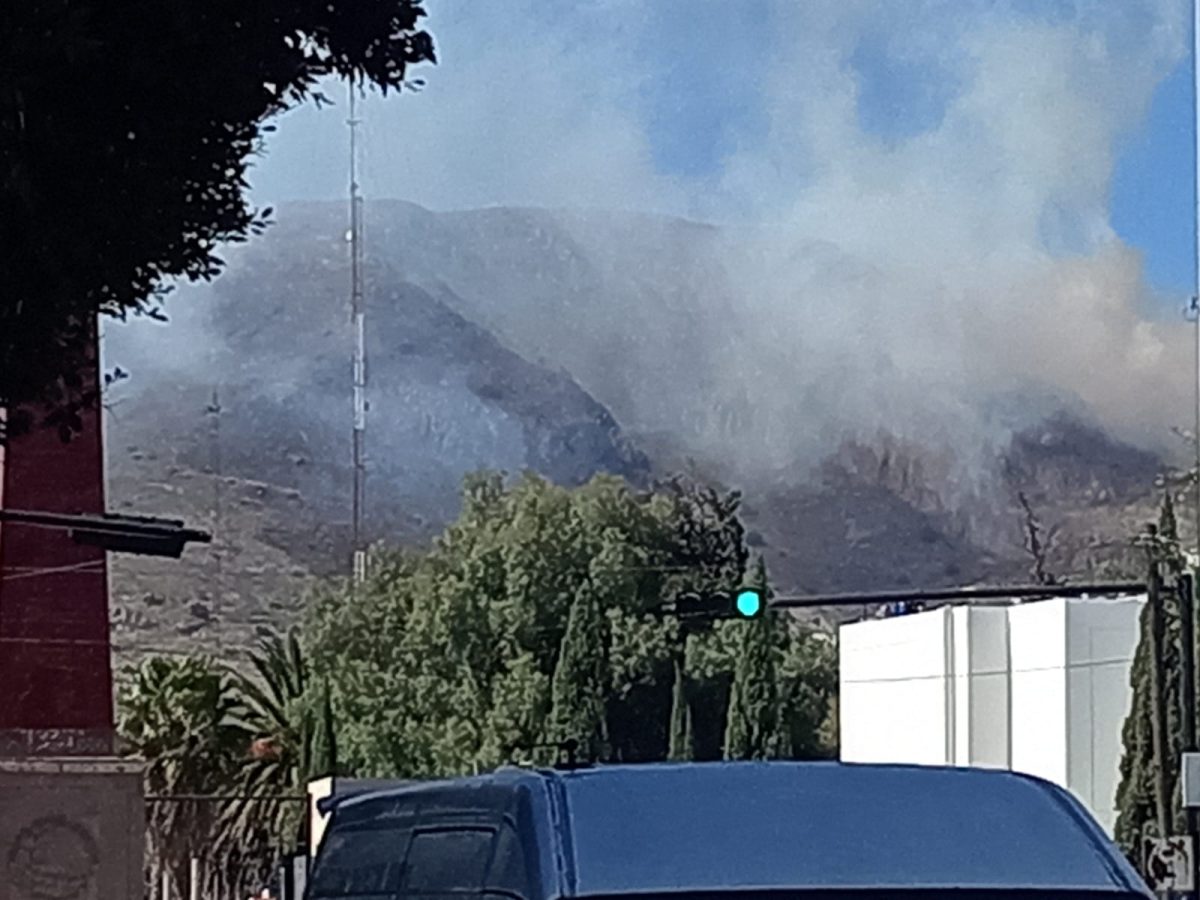 Incendio en el Cerro del Arbolito moviliza a brigadistas