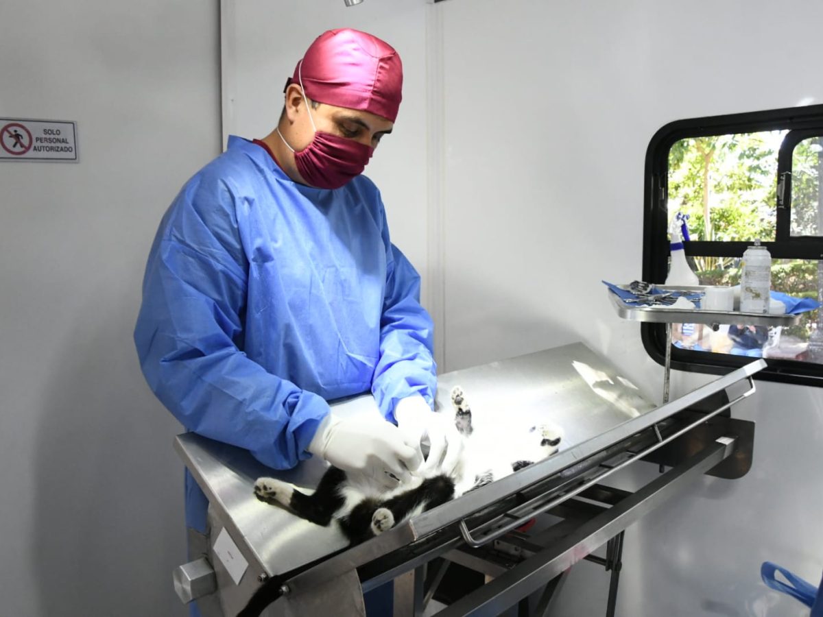 Entregan consultorio móvil y unidad de rescate en Feria de Bienestar Animal