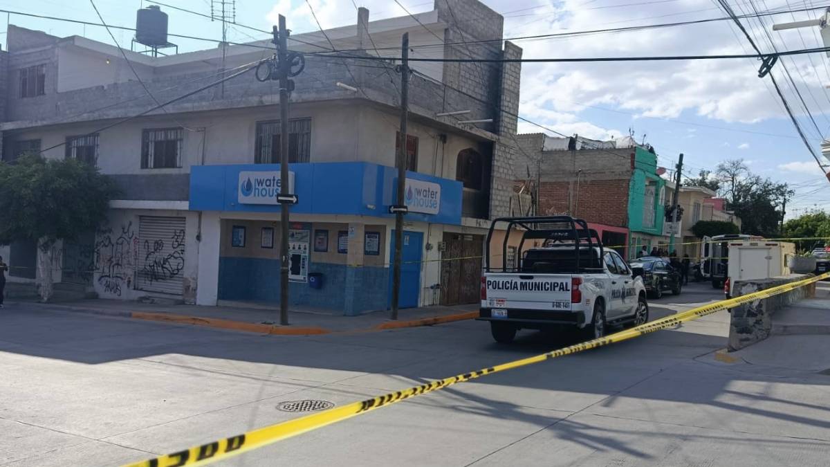 asesinada-león-apuñalada