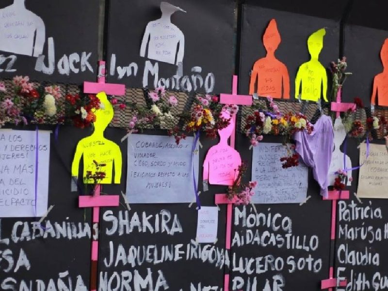 Guanajuato llega al 8M como líder nacional en asesinatos de mujeres