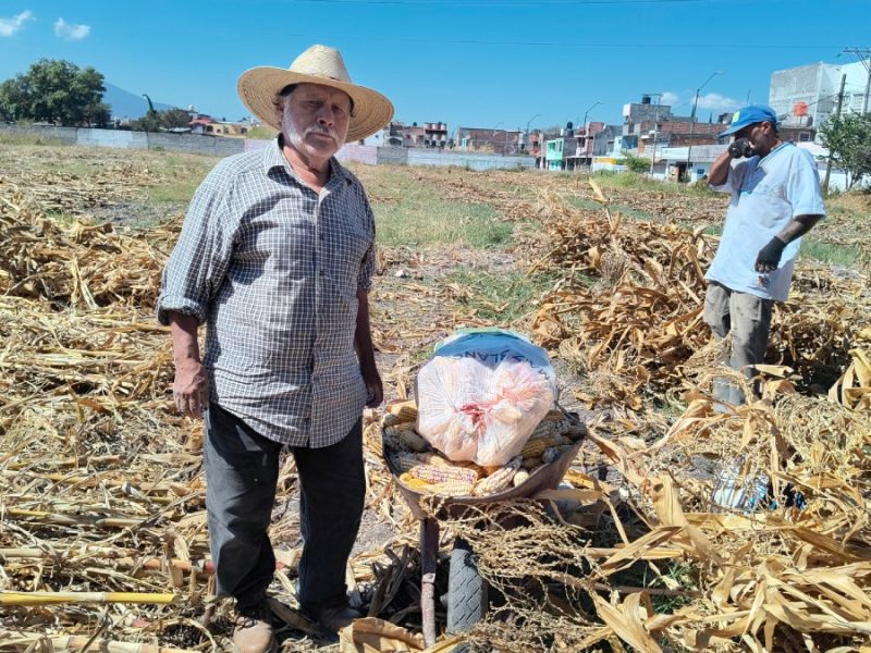 Guerra en Medio Oriente pega a Guanajuato: Se disparan precios de diésel y fertilizantes