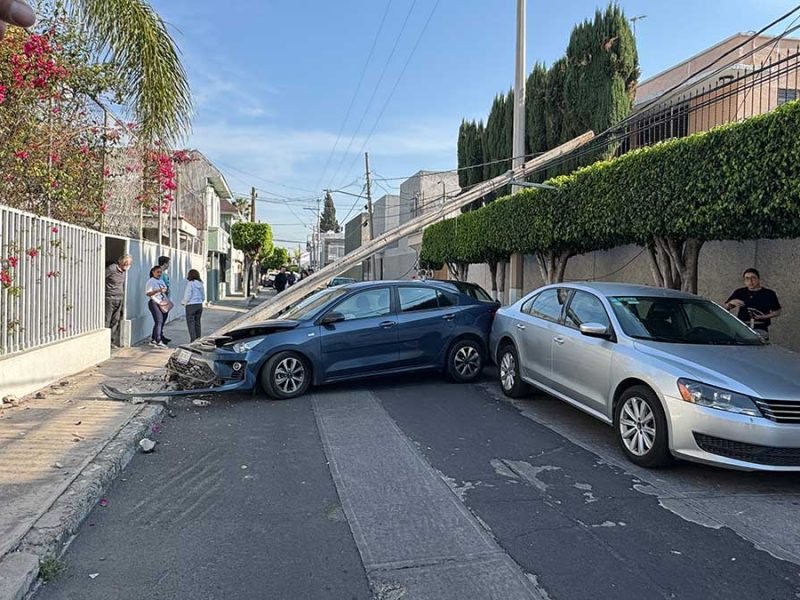 Árbol y cables evitan que un poste aplaste a madre e hijo tras choque en Celaya