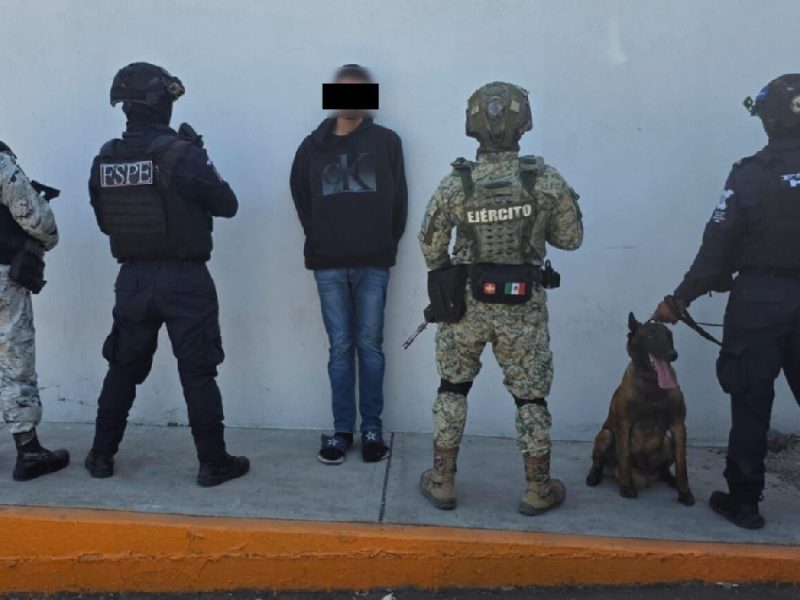 Cae la ley en Celaya: Operativo K9 y Sedena desarticulan célula con armas y drogas en Roque