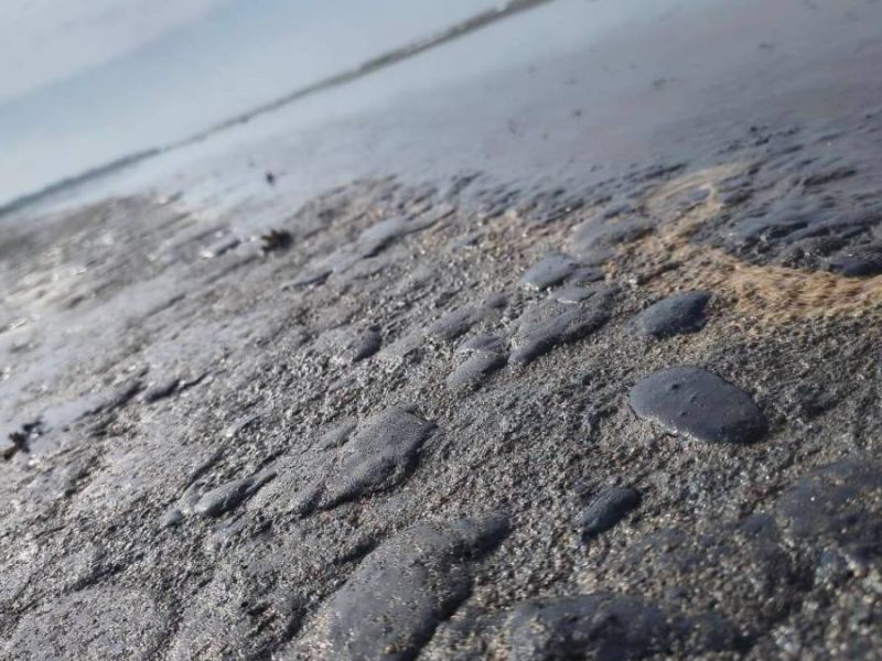 Desastre ambiental: Reportan chapopote en 170 kilómetros de costas en Veracruz y Tabasco