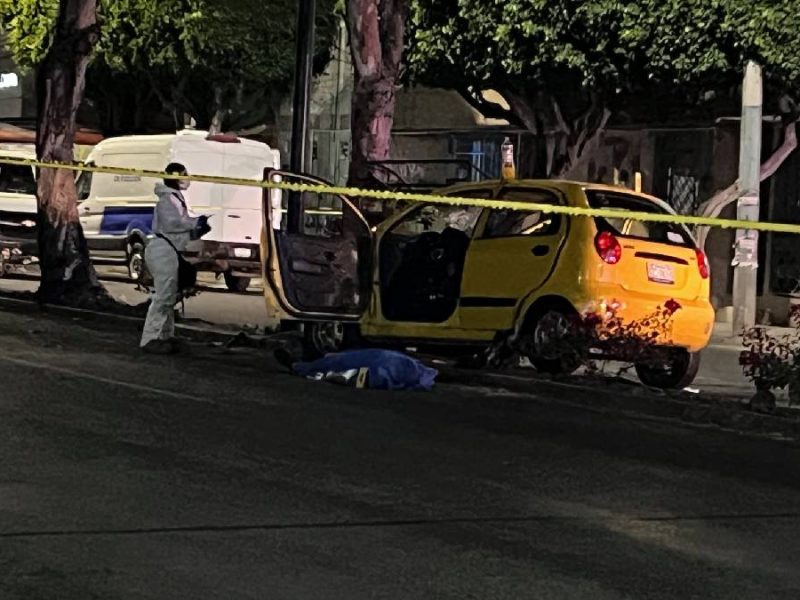 Muere aficionado del León tras chocar contra un árbol en bulevar Mariano Escobedo