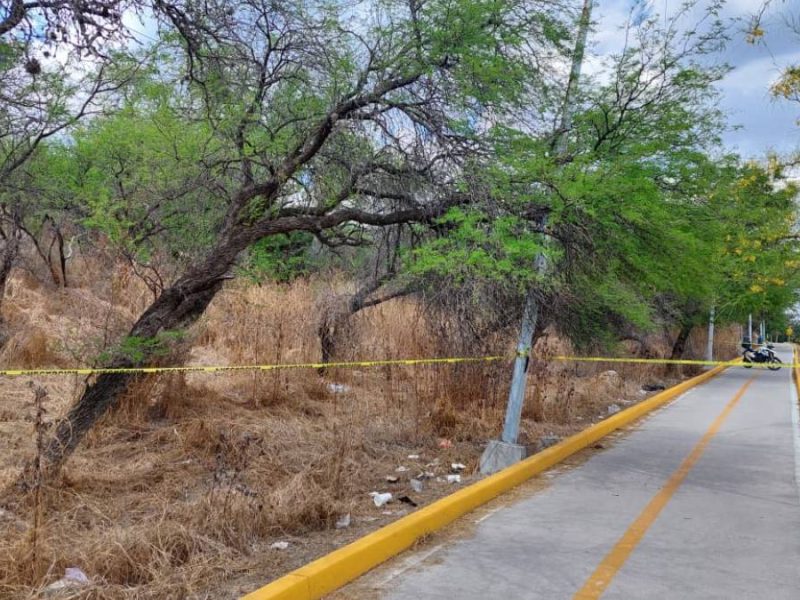 Localizan a hombre sin vida cerca de la ciclovía de Purísima del Rincón; investigan huellas de violencia