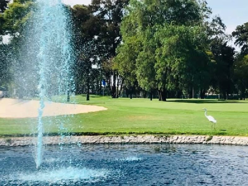 Rechaza Club Campestre de Celaya prácticas indebidas en consumo de agua