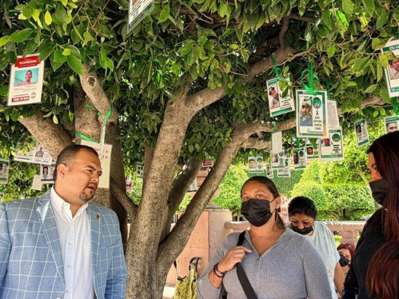 Reinstalan fichas de búsqueda en el “Árbol de la Esperanza” en León