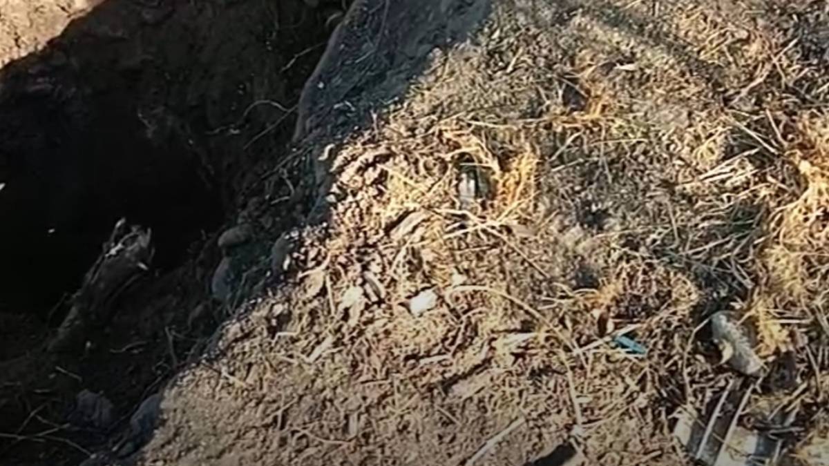 colectivo-hasta encontrarte-cuerpo-hombre