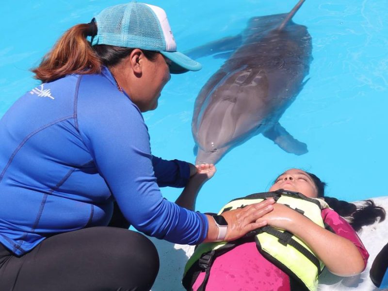 Delfinoterapia en Silao: El sueño que cambió la vida de 20 niños leoneses
