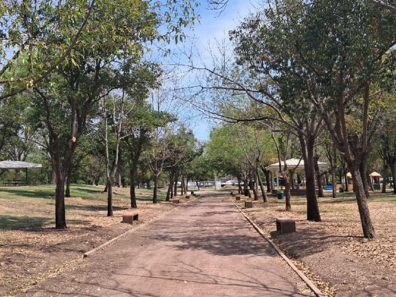 Entre prados secos, leoneses piden ‘manita de gato’ al Parque Explora tras la Feria de León